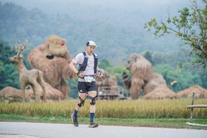 BIB: 2006
                            <button type="button" onclick="openModal(22305483)" class="btn btn-primary btn-sm float-right btn-popup" data-toggle="modal" data-target=".modal-high-quality">
                        <i class="fas fa-shopping-cart"></i> Add to Cart
                    </button>
                                            <button type="button" onclick="isThisMe(22305483, true)" class="btn btn-success btn-sm float-right btn-popup btn-isme hidden" data-toggle="tooltip" data-placement="bottom" title="นี่คือรูปของคุณใช่ไหม คลิกที่นี่เพื่อเอาเข้าอัลบั้ม">
                        <i class="fas fa-plus"></i> Add to album
                    </button>
                    <button type="button" onclick="isThisMe(22305483, false)" class="btn btn-warning btn-sm float-right btn-popup btn-isnotme hidden">
                        <i class="fas fa-ban"></i> Remove from album
                    </button>